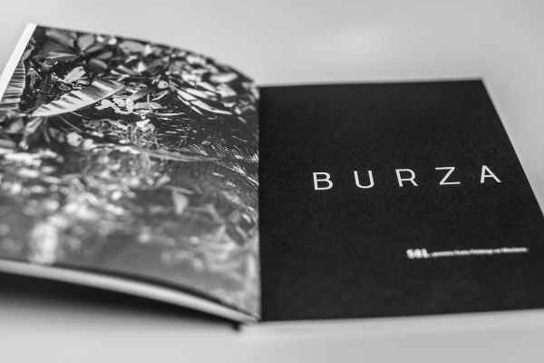 Burza / program / 2015